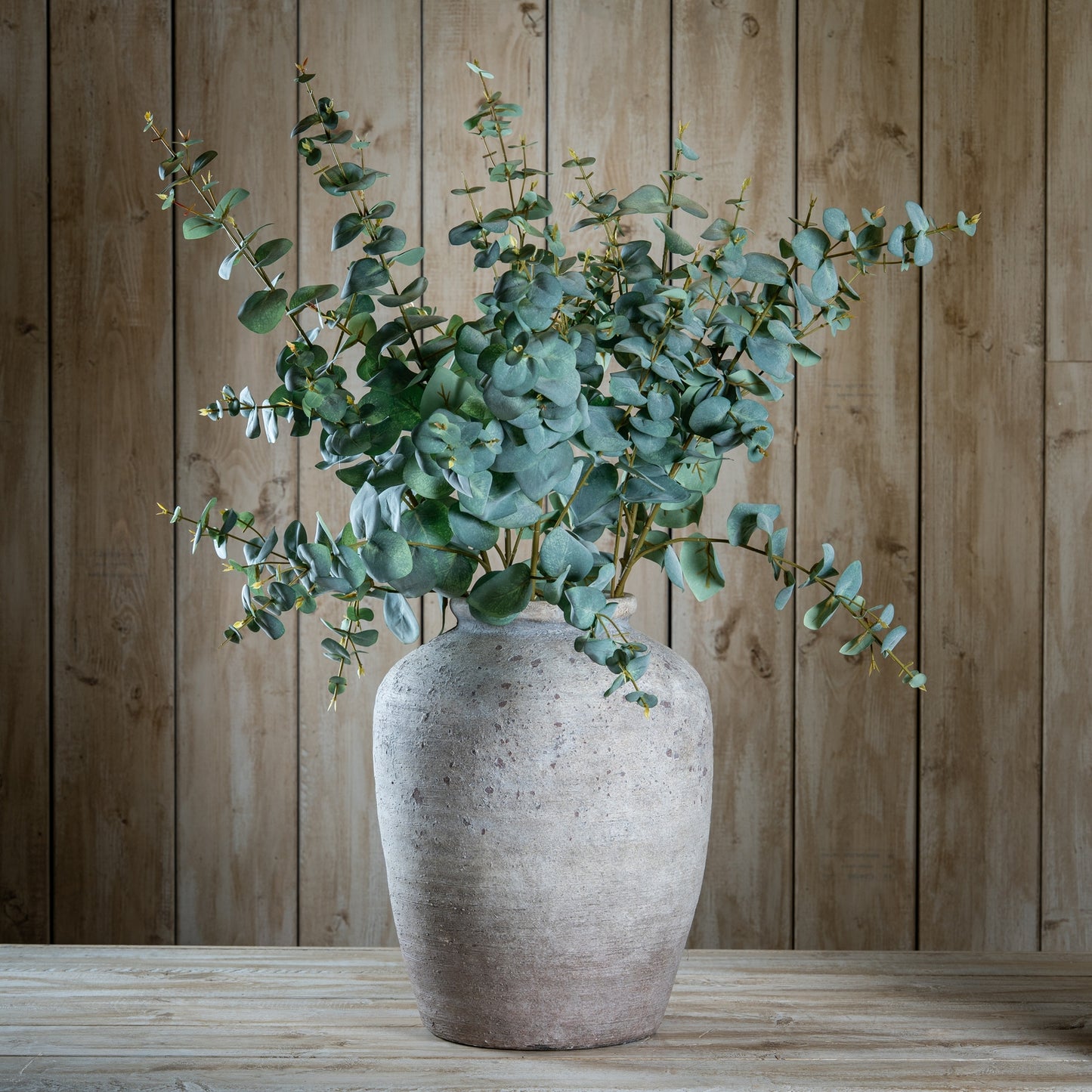 Variegated Eucalyptus - Single stem