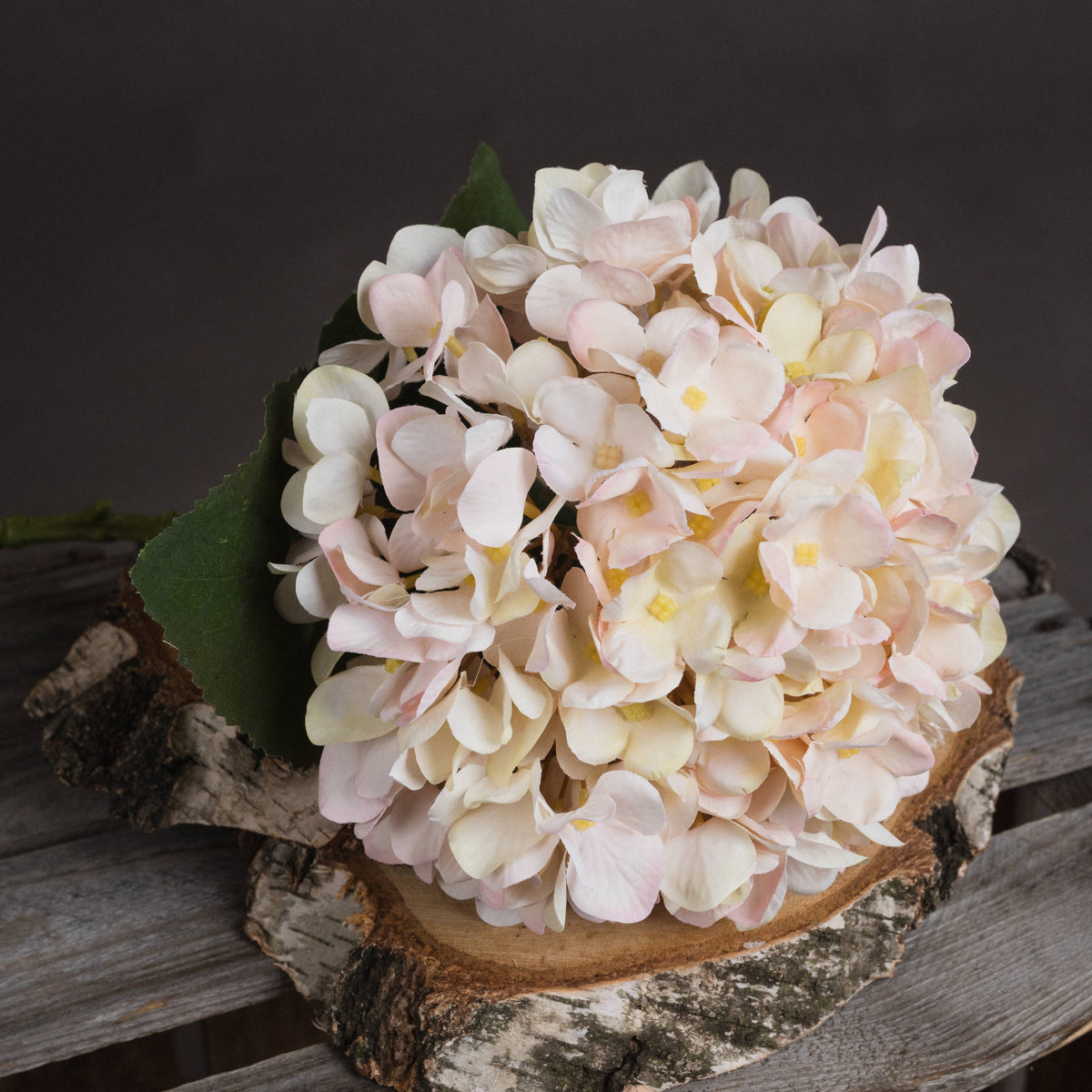 Autumn Blush Hydrangea Stem