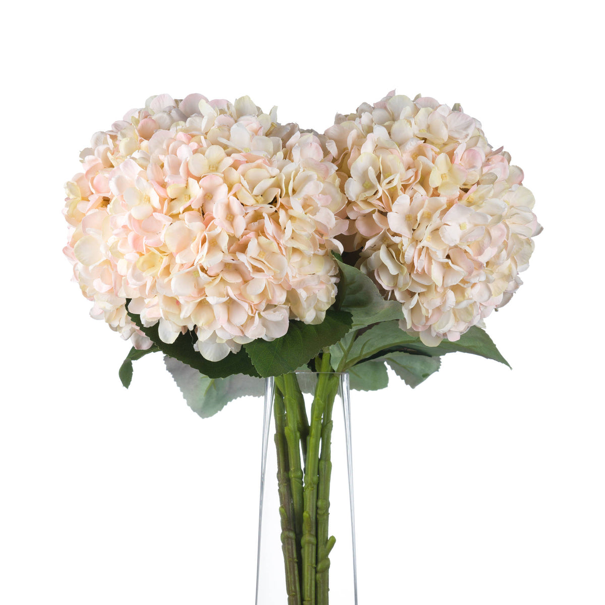 Autumn Blush Hydrangea Stem