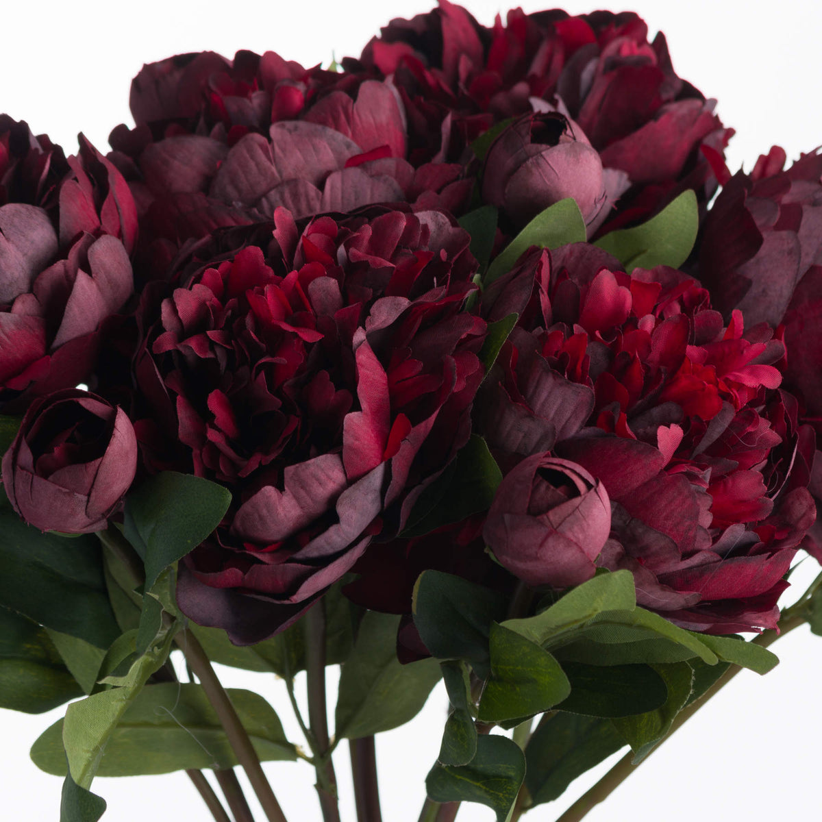 Burgundy Peony Rose Stems – Set of 3