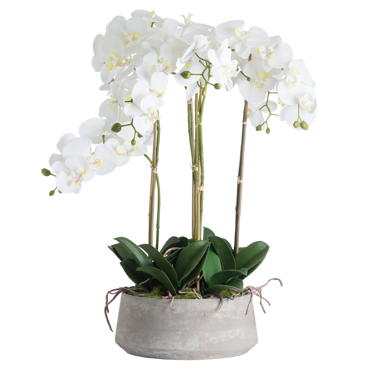 Seraphina Large Artificial White Orchid in Stone Pot