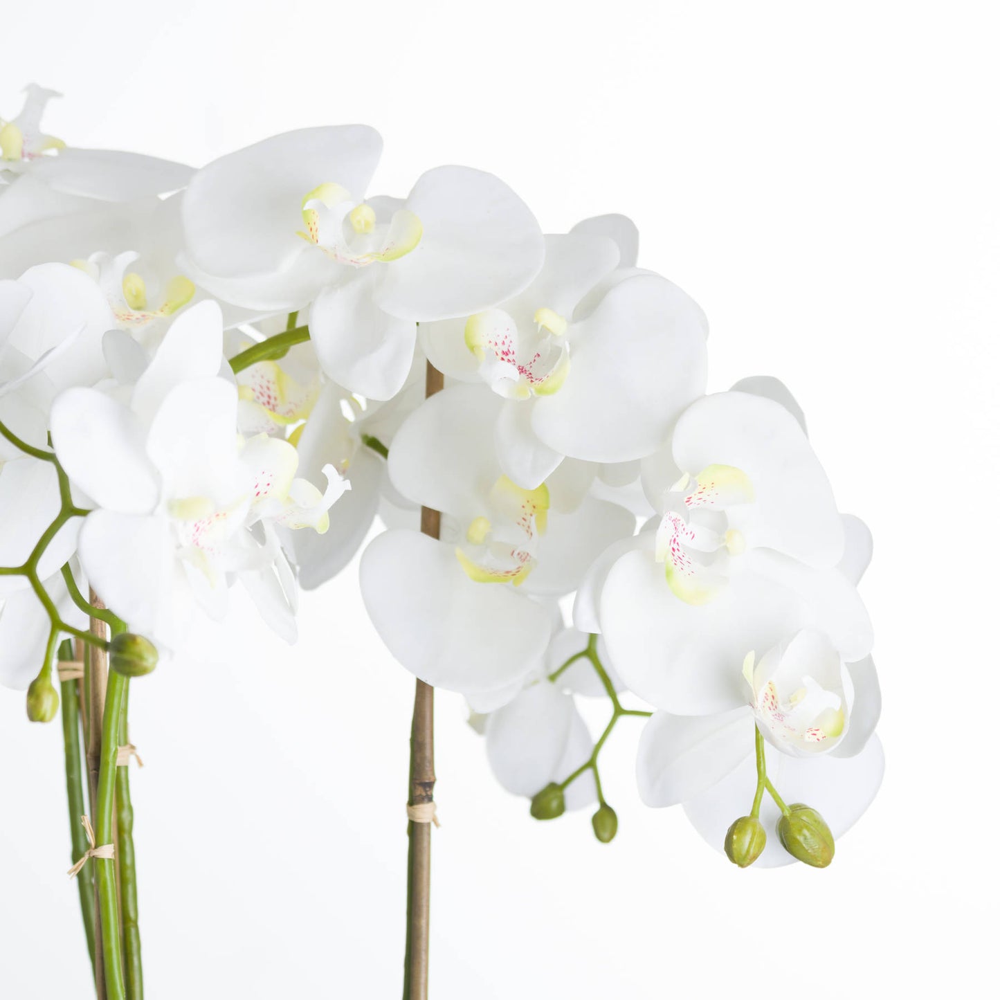 Seraphina Large Artificial White Orchid in Stone Pot