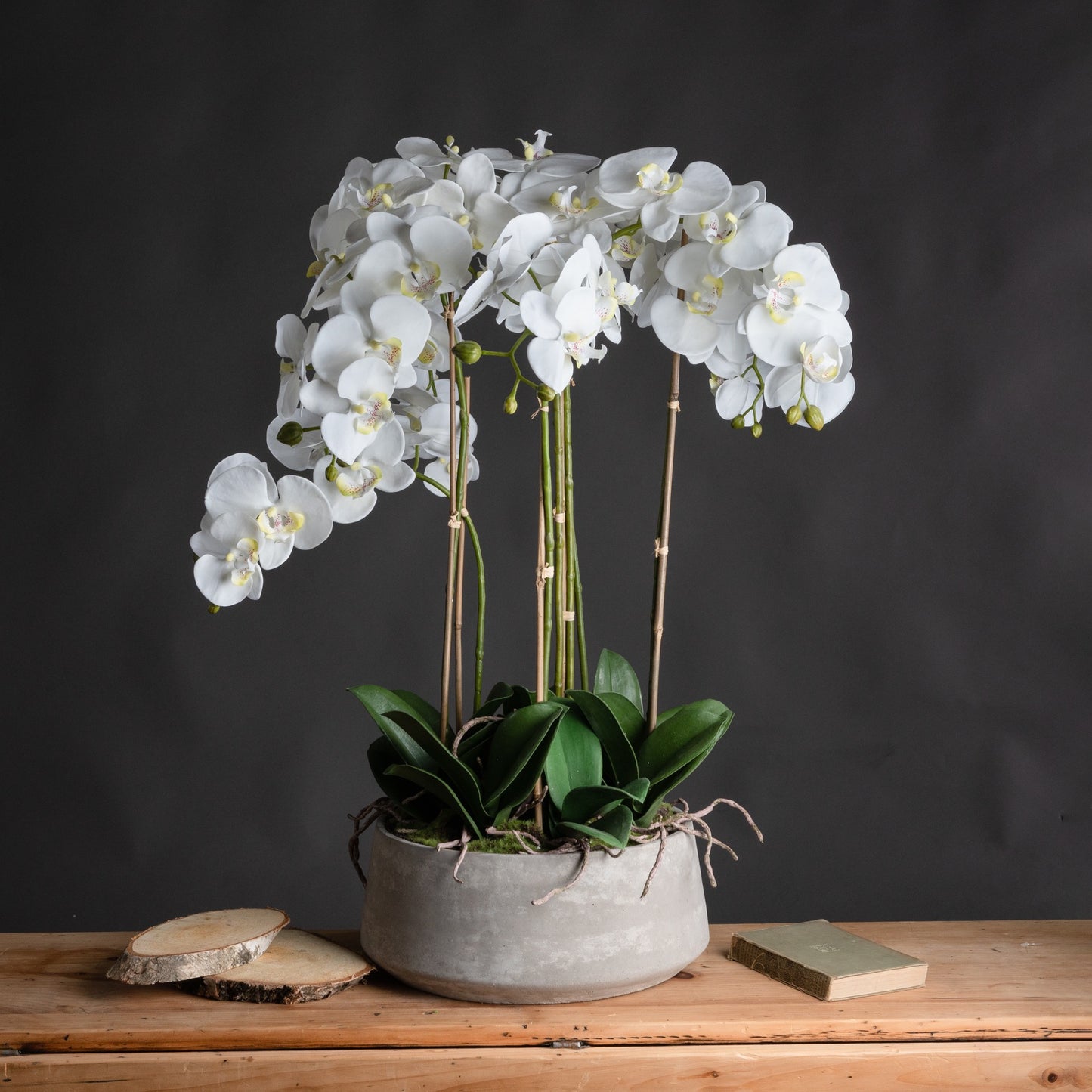 Seraphina Large Artificial White Orchid in Stone Pot