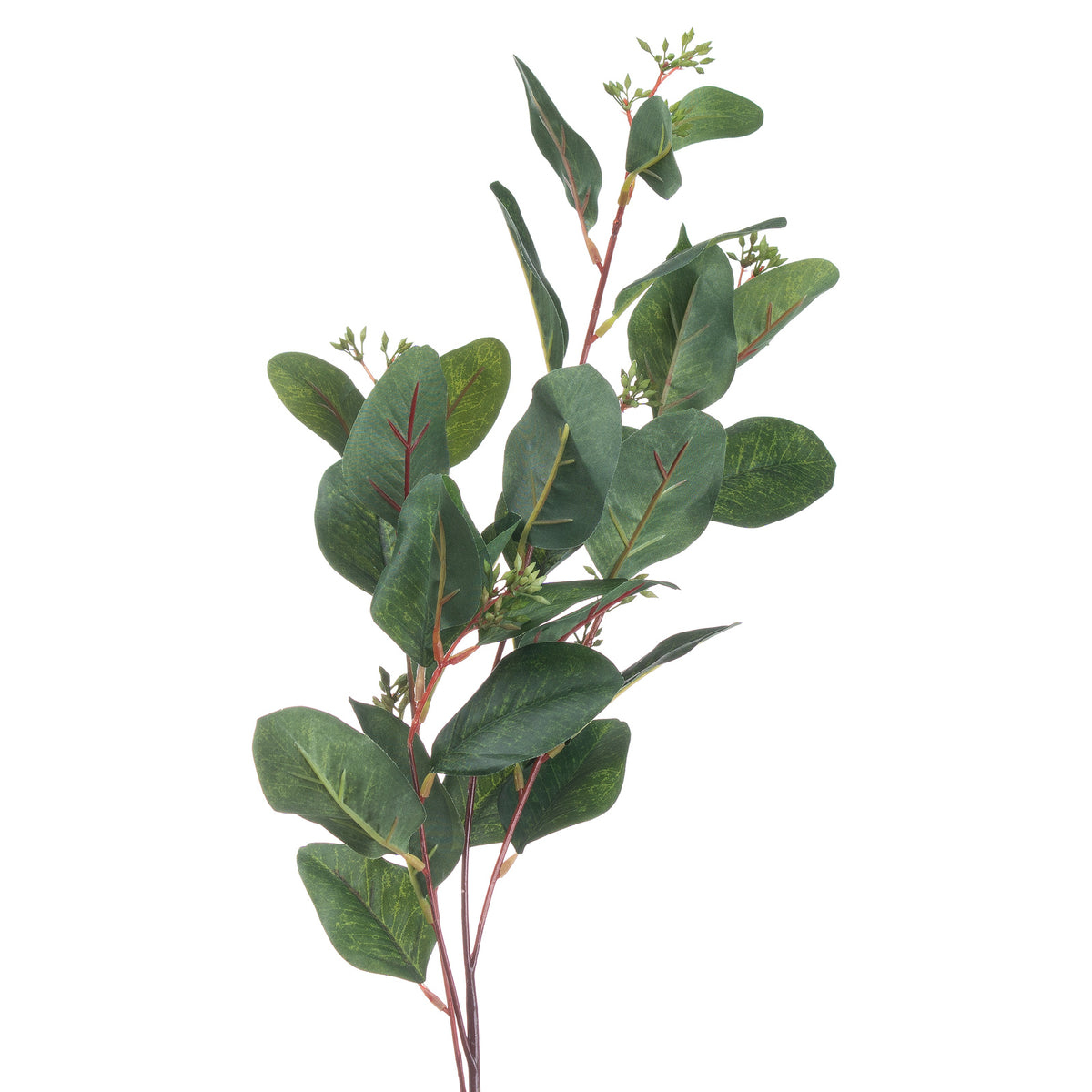 Summer Seeded Eucalyptus Stems – Set of 3