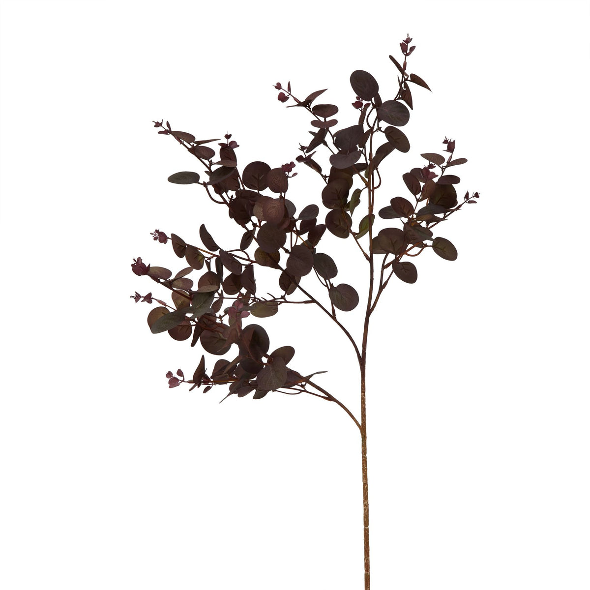 Burgundy Eucalyptus Stem