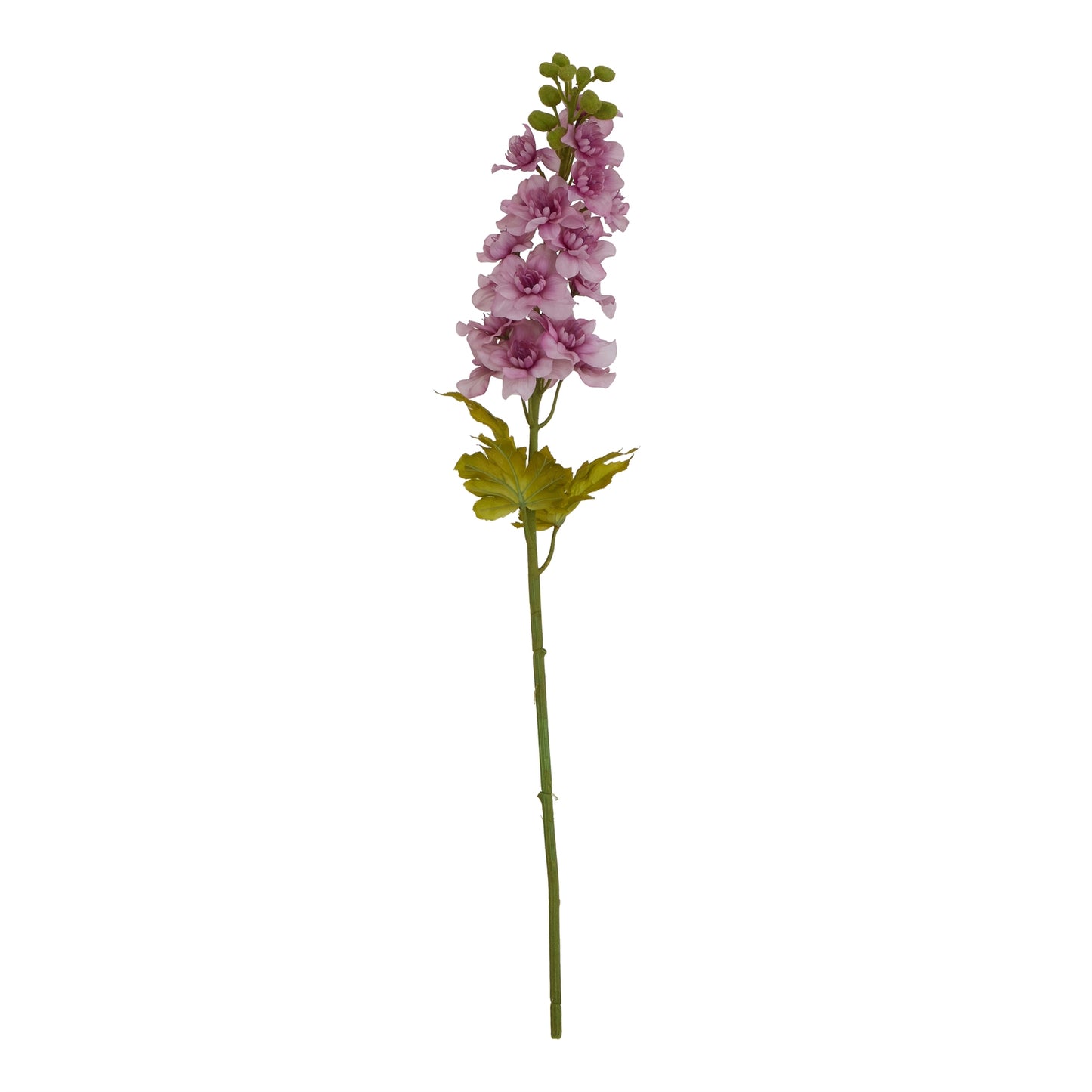 Purple Elatum Delphinium stem