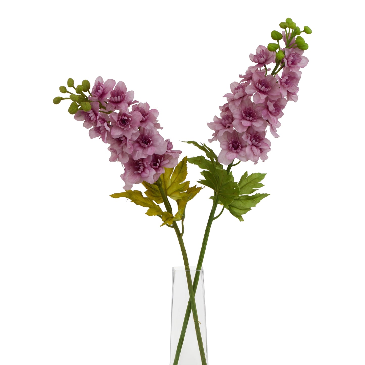 Purple Elatum Delphinium stem
