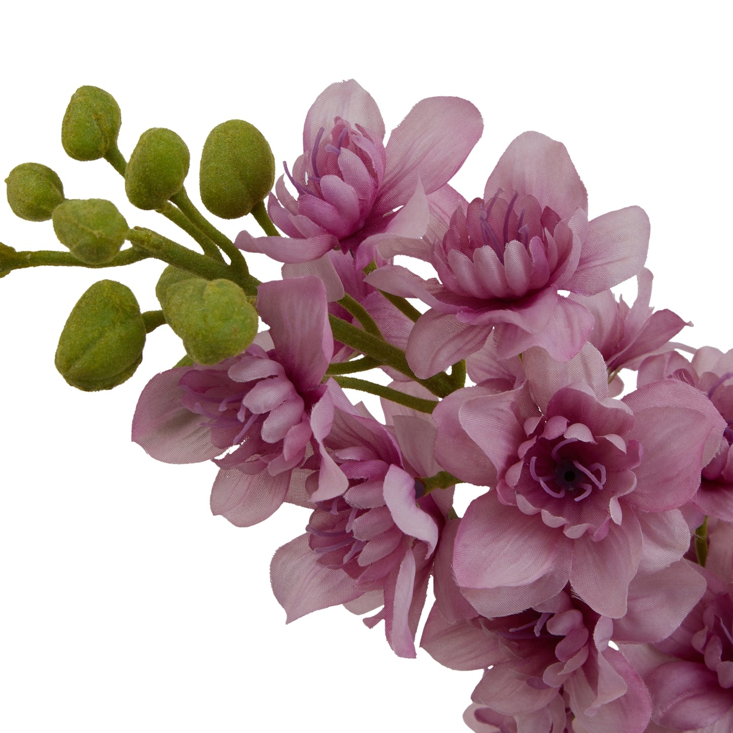 Purple Elatum Delphinium stem