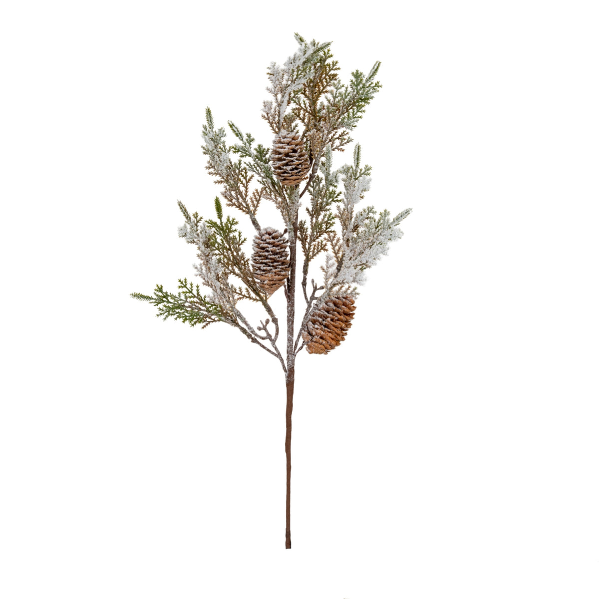 Frosted Cypress & Pinecone Branches – Set of 2