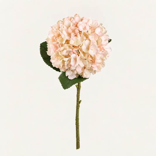 Autumn Blush Hydrangea Stem