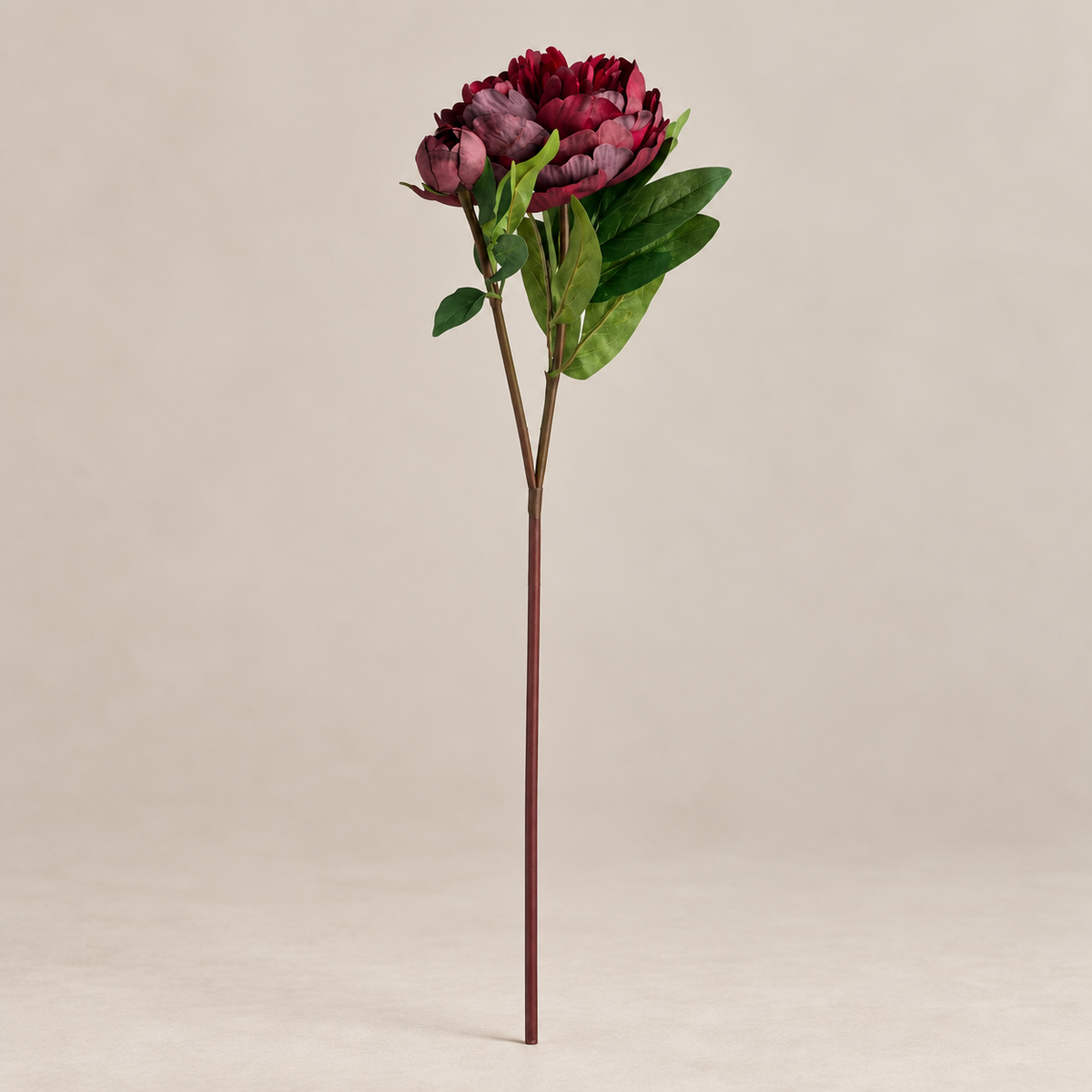 Burgundy Peony Rose Stems – Set of 3