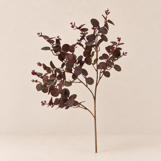 Burgundy Eucalyptus Stem