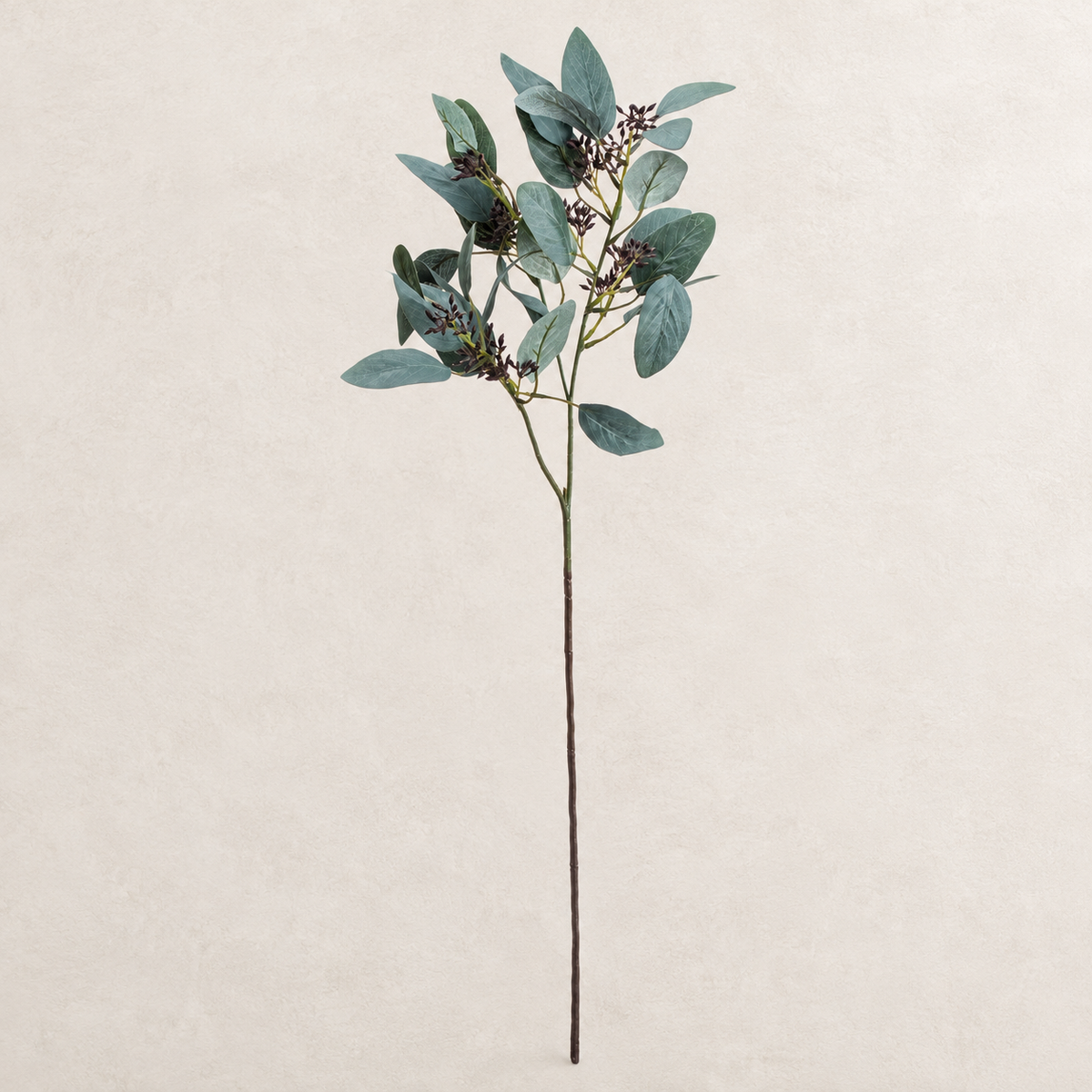 Seeded Eucalyptus Stem