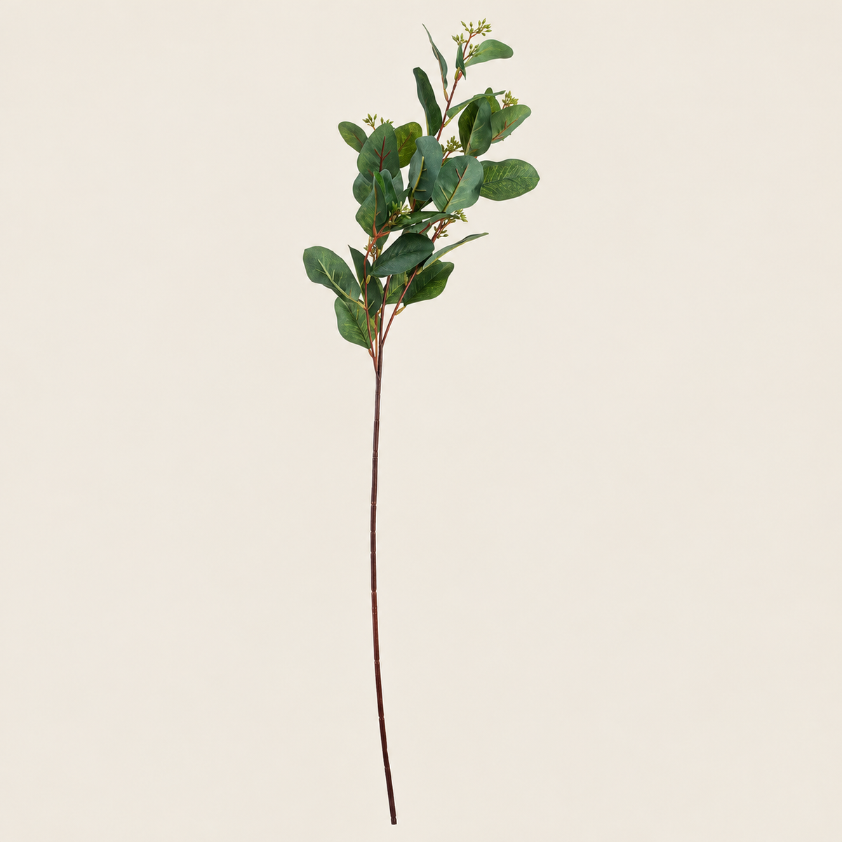 Summer Seeded Eucalyptus Stems – Set of 3